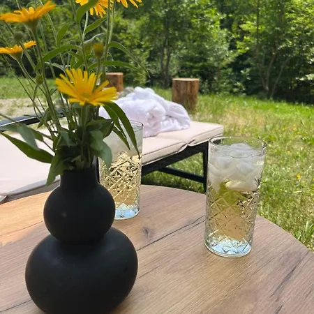 Alpesi faház Mint Delnice