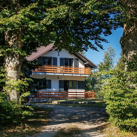 Chalet Mint