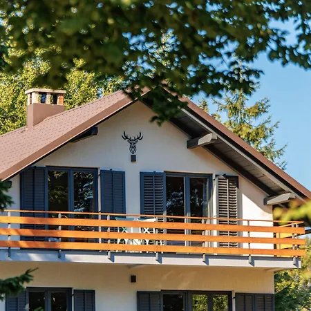 Mint Chalet *
